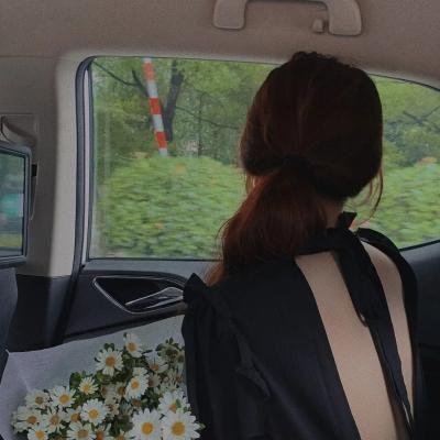 我真的只是个兽医